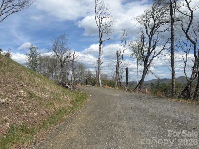 TBD Swiss Pine Lake Dr #117, Spruce Pine, NC 28777