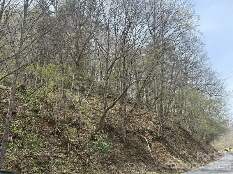 Hortons Creek Rd, Burnsville, NC 28714