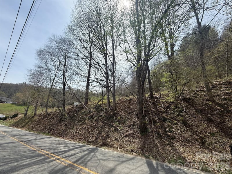 Hortons Creek Rd, Burnsville, NC 28714