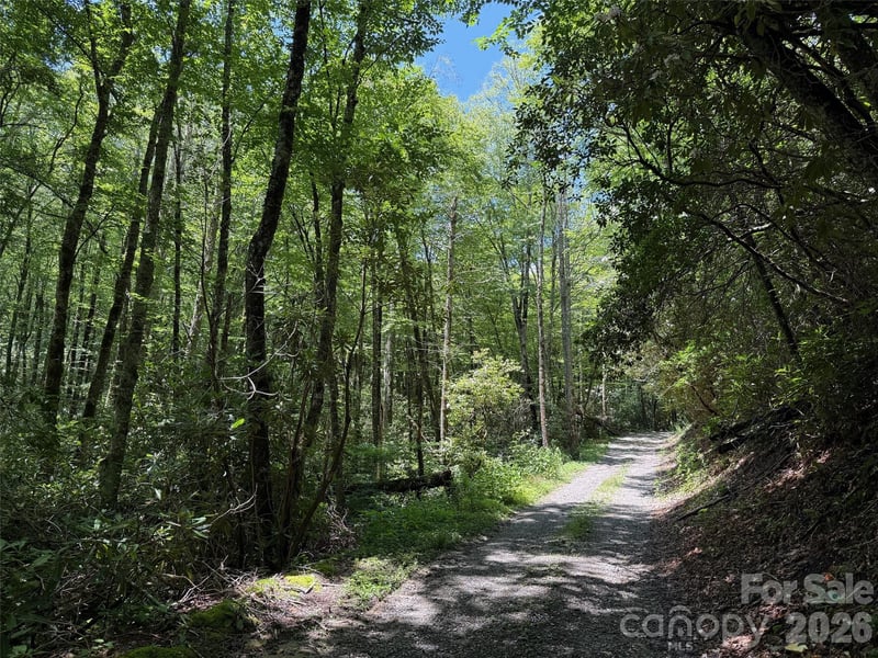 Spring Dr, Maggie Valley, NC 28751