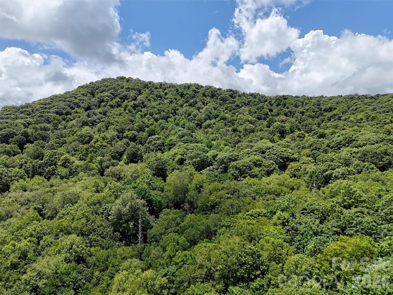 Spring Dr, Maggie Valley, NC 28751
