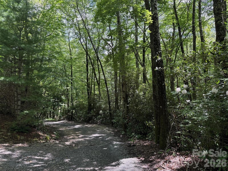 Yonder Trl, Maggie Valley, NC 28751
