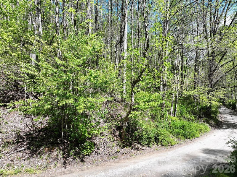 00 Hanks Rd, Waynesville, NC 28785