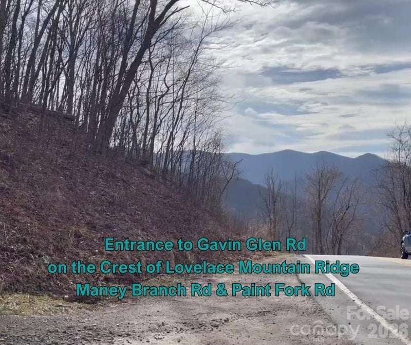 125 Gavin Glen Rd, Weaverville, NC 28787