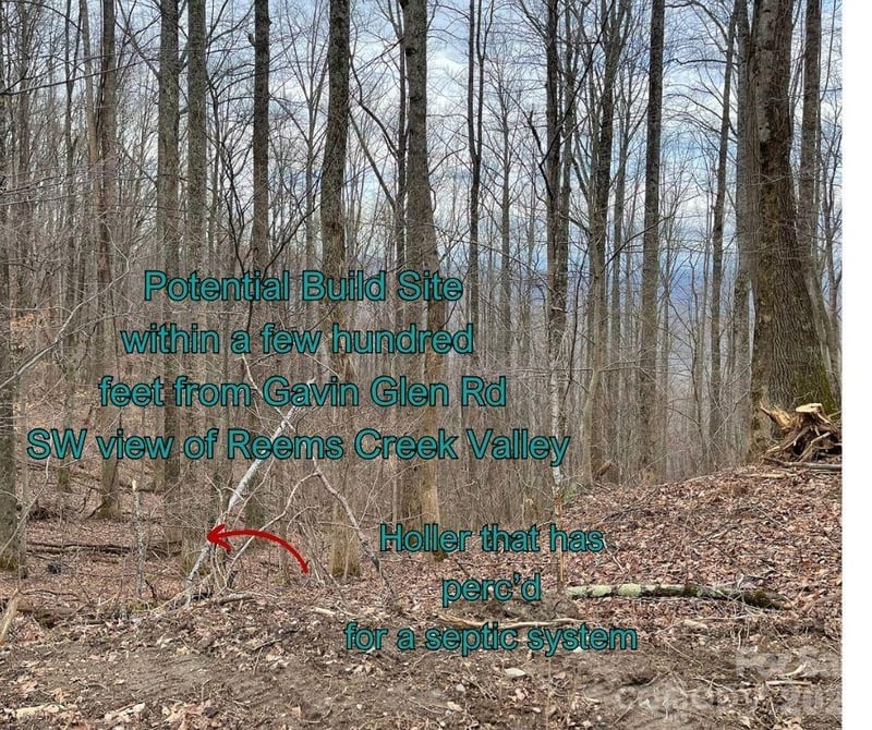 125 Gavin Glen Rd, Weaverville, NC 28787