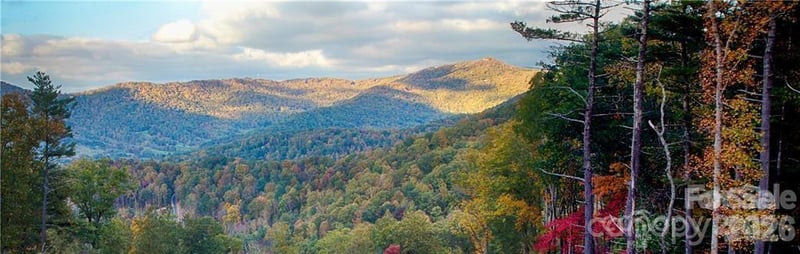 48 Longspur Ln #58, Asheville, NC 28804