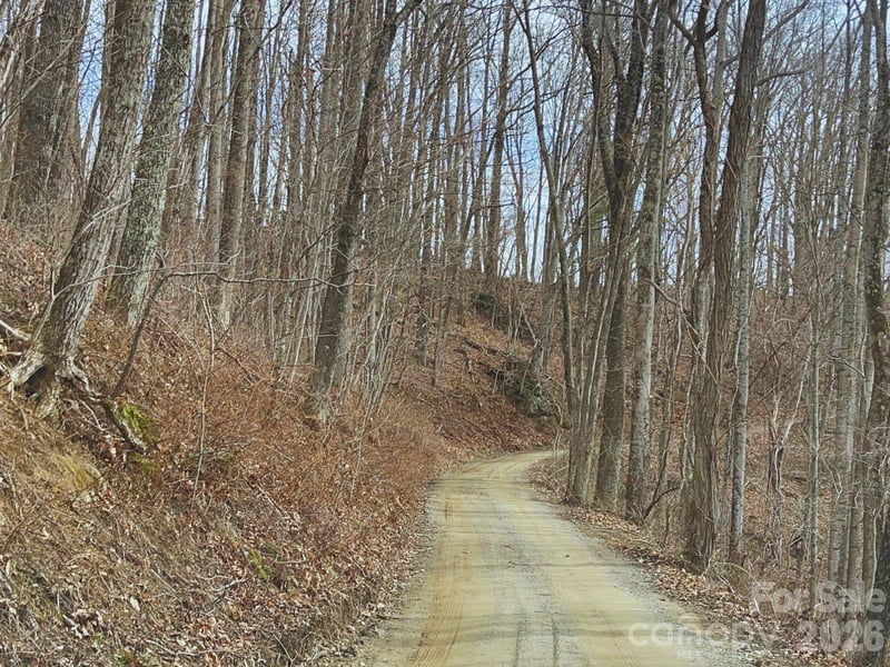 135 Gavin Glen Rd, Weaverville, NC 28787