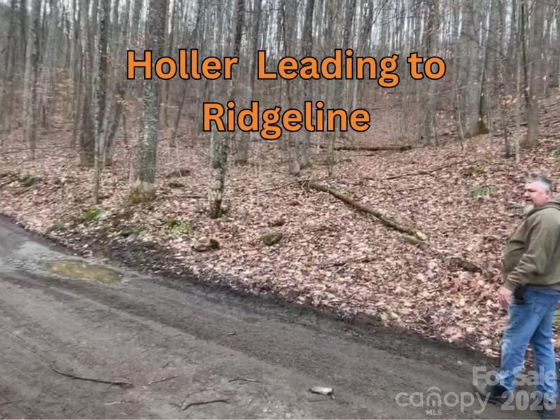 135 Gavin Glen Rd, Weaverville, NC 28787