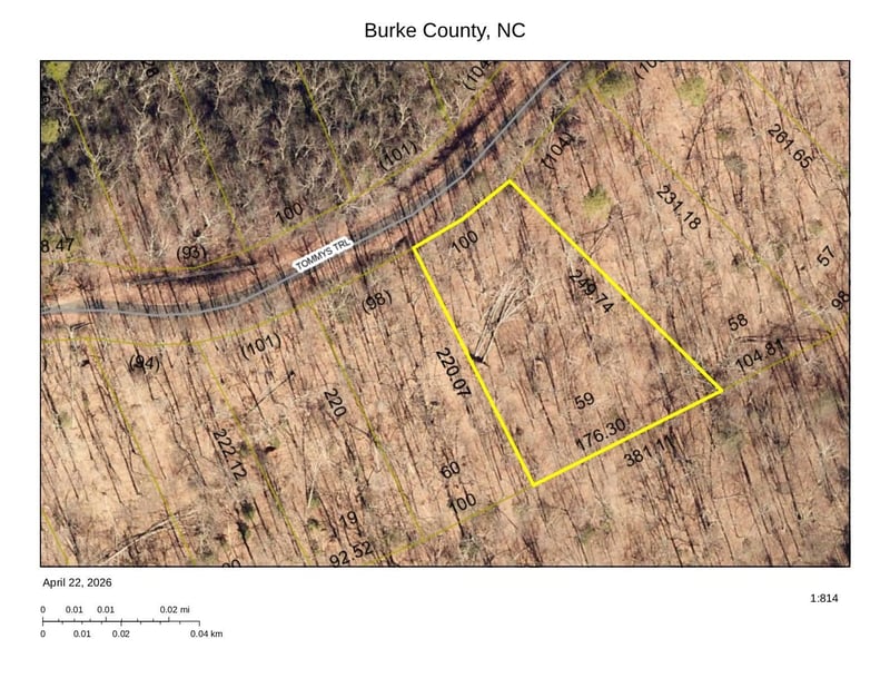 Tommys Trl, Connelly Springs, NC 28612