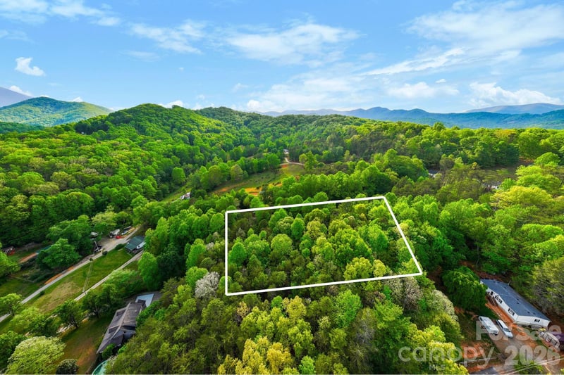 99999 Elana Chase Dr, Candler, NC 28715
