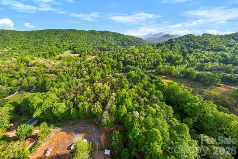 99999 Elana Chase Dr, Candler, NC 28715