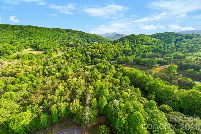 99999 Elana Chase Dr, Candler, NC 28715