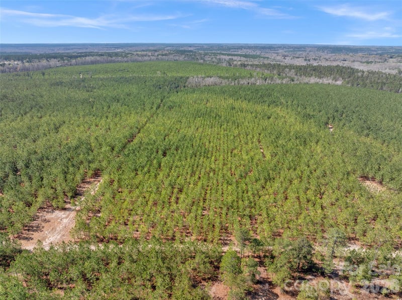 931 Charlie Johnson Rd #6, Kershaw, SC 29067