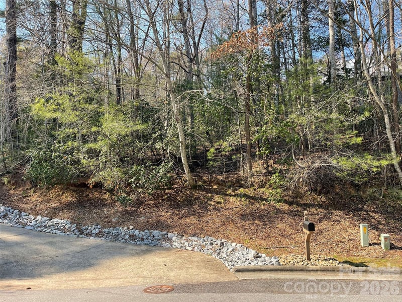Lot 61 Deerlake Dr, Brevard, NC 28712