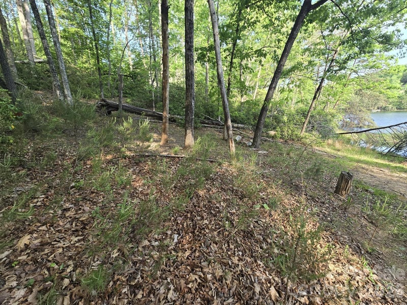 Lot 88 Woodland Cir, Lake Lure, NC 28746