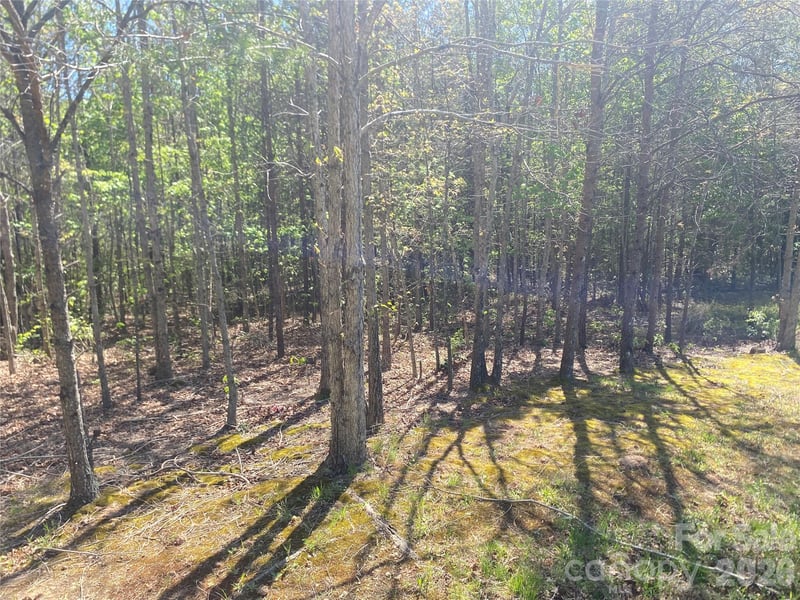 4209 Bennett Rd, Morganton, NC 28655