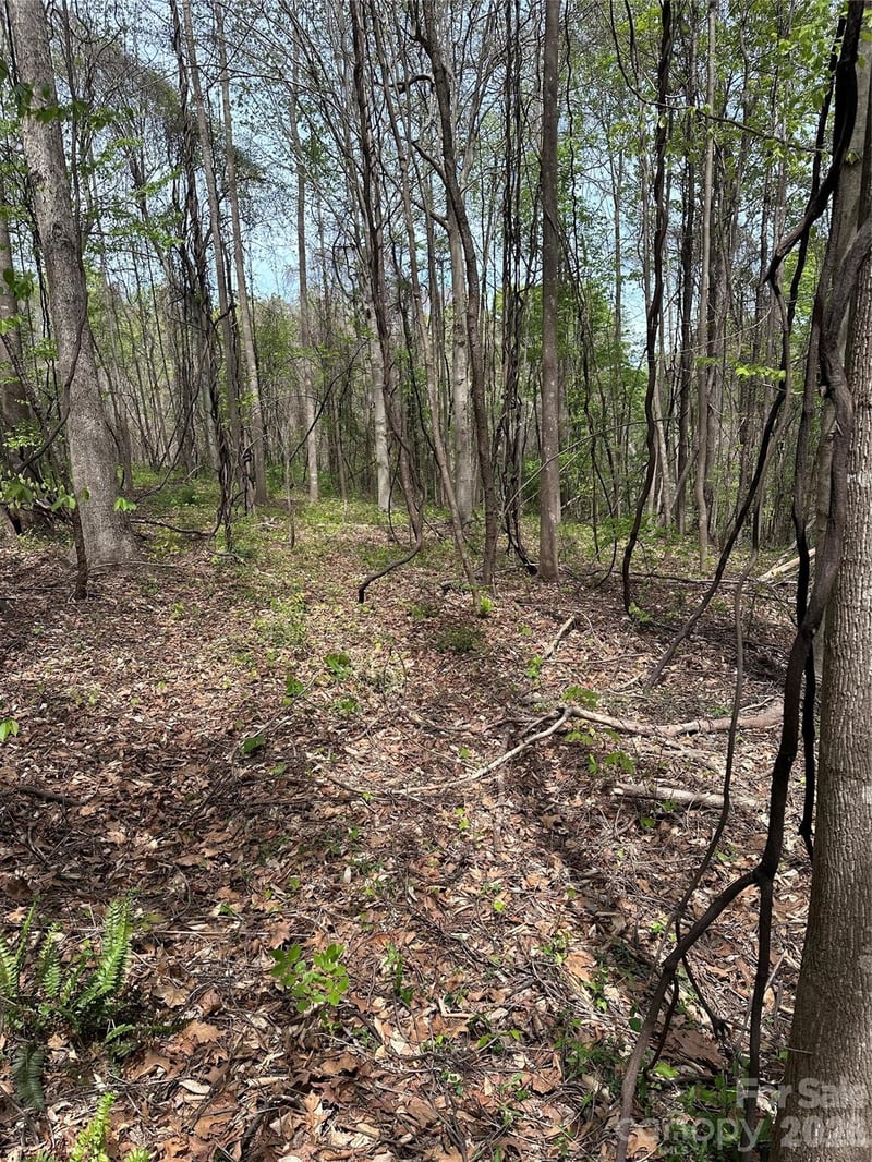 Will Boone Rd, Mocksville, NC 27028