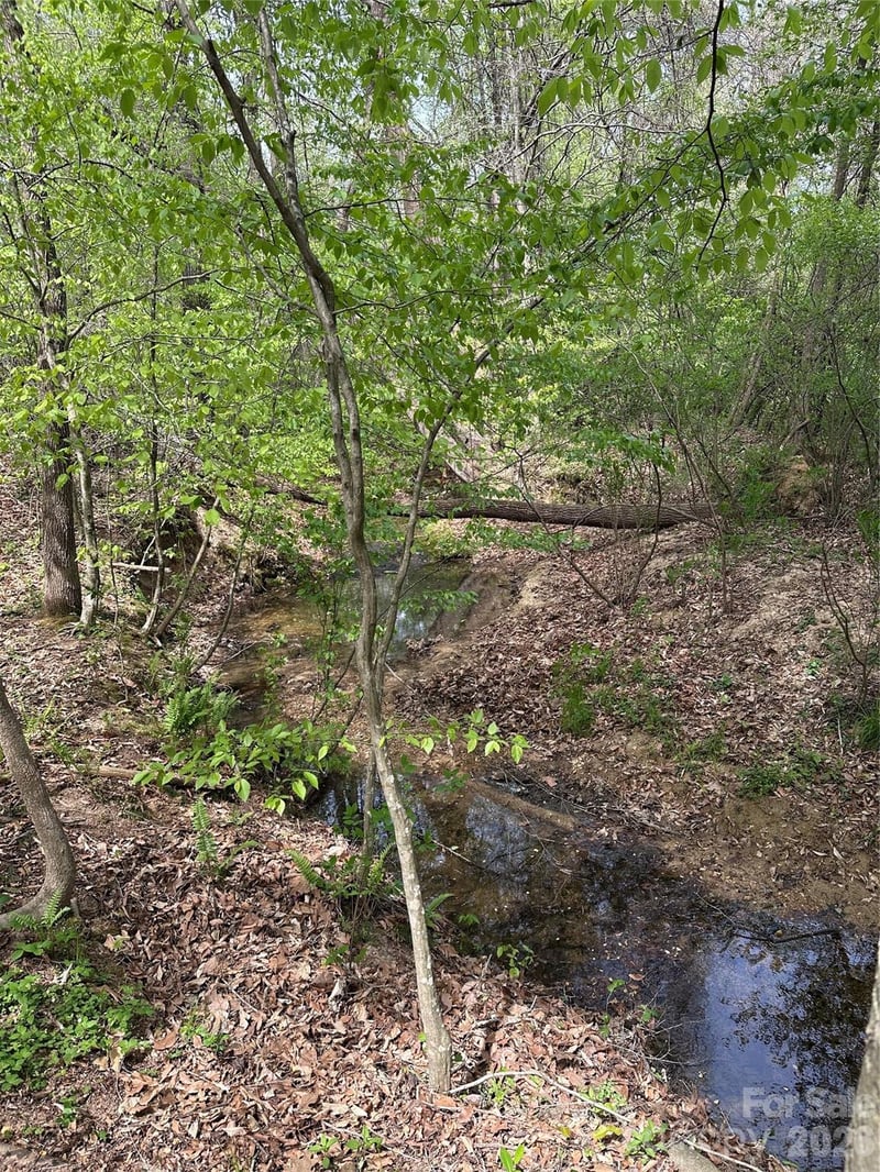 Will Boone Rd, Mocksville, NC 27028