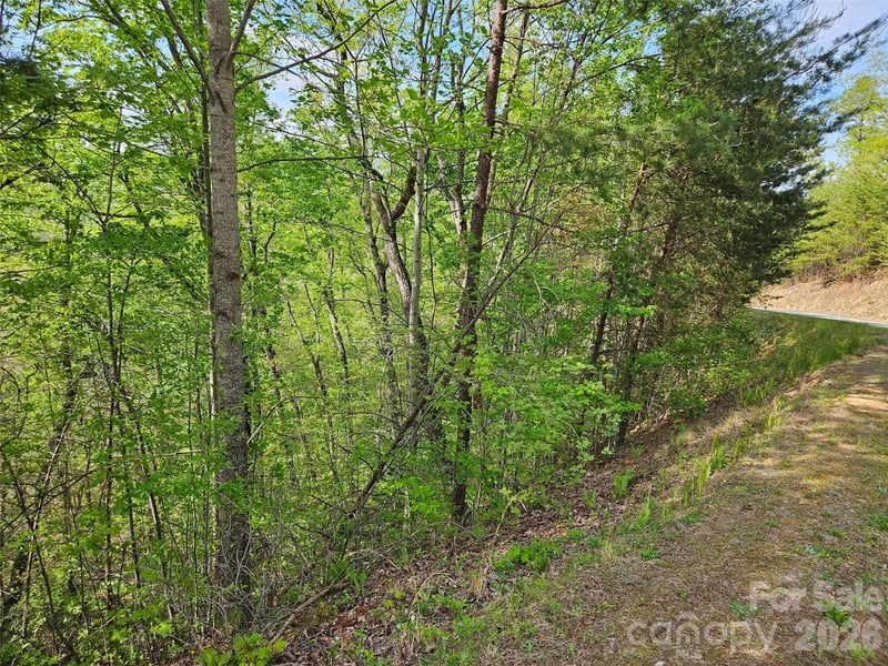 High Pines Loop #101, Lake Lure, NC 28746