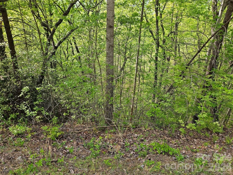 High Pines Loop #101, Lake Lure, NC 28746