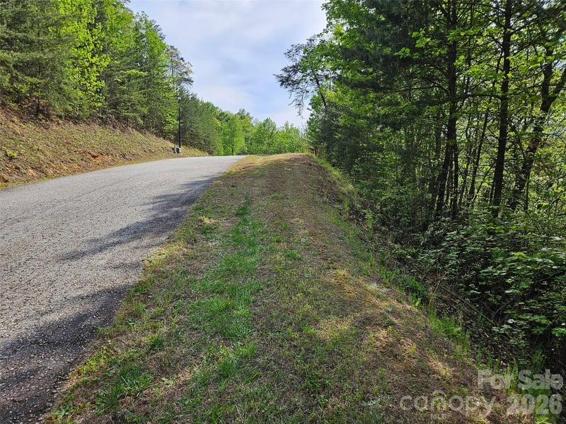 High Pines Loop #101, Lake Lure, NC 28746