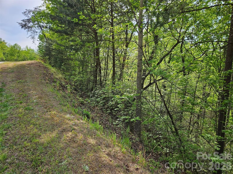 High Pines Loop #101, Lake Lure, NC 28746