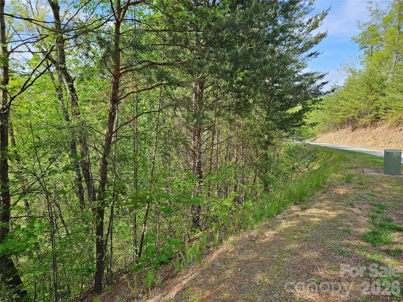 High Pines Loop #101, Lake Lure, NC 28746