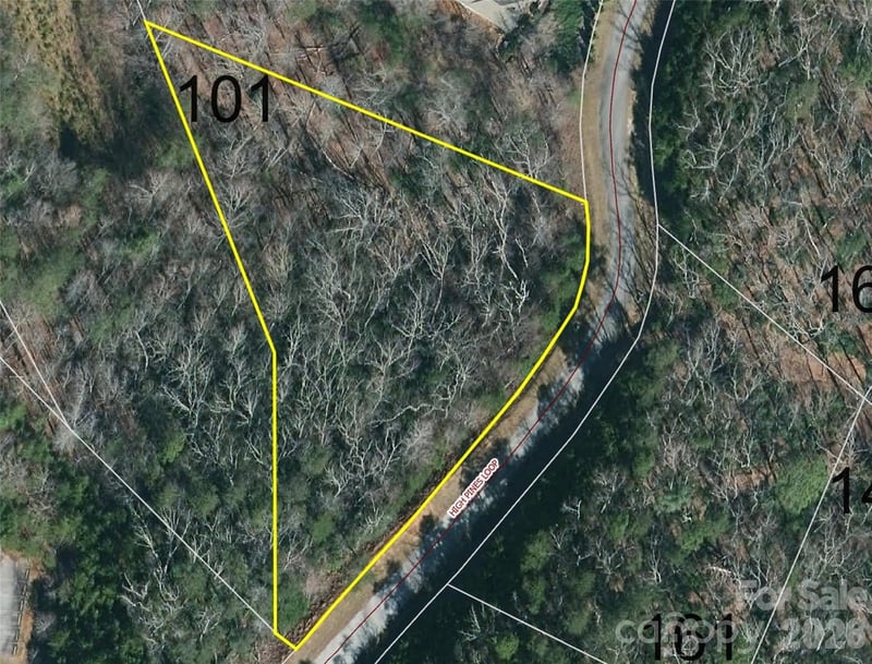 High Pines Loop #101, Lake Lure, NC 28746