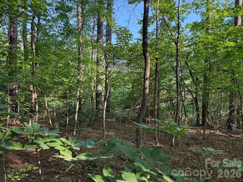 3249 Sherman Dr, Lancaster, SC 29720