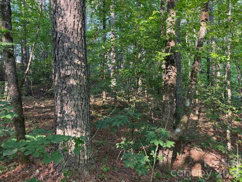 3249 Sherman Dr, Lancaster, SC 29720