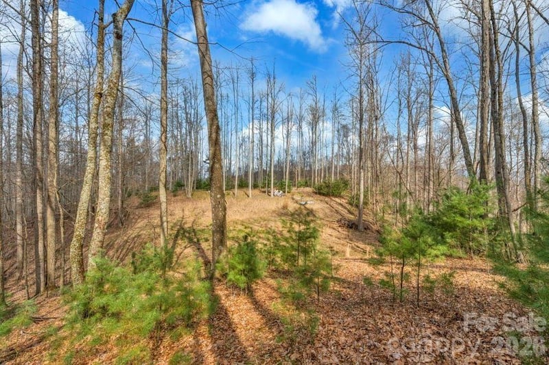 tbd Denney Wood Rd, Sugar Grove, NC 28679