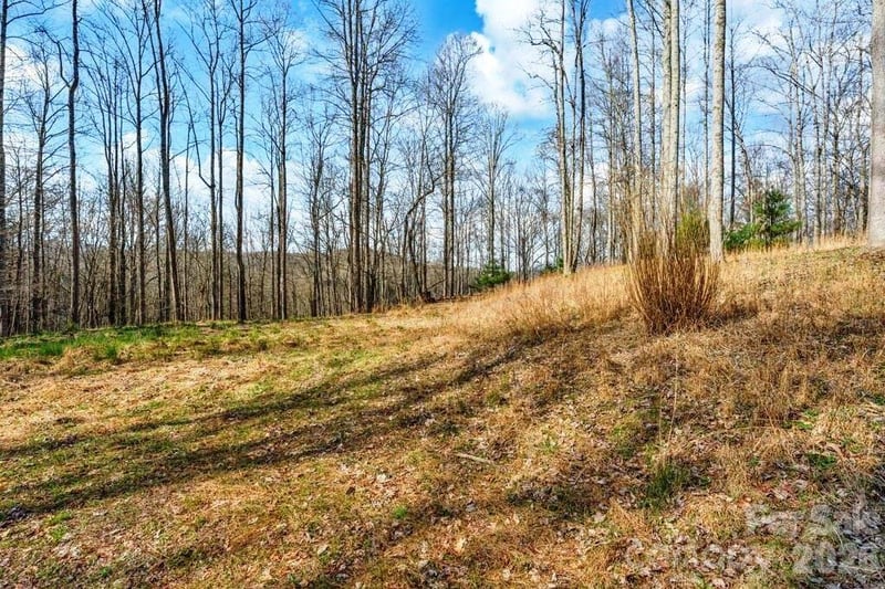 tbd Denney Wood Rd, Sugar Grove, NC 28679