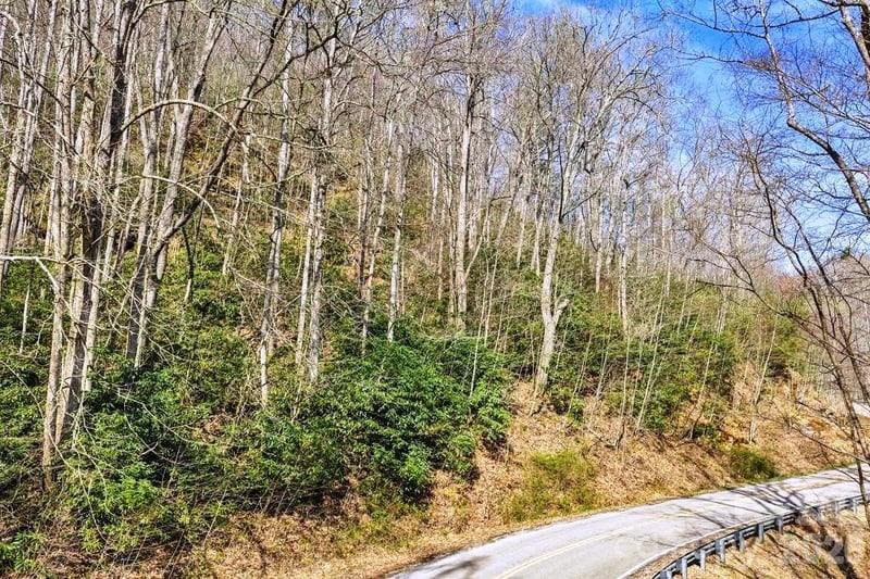 tbd Rominger Rd, Sugar Grove, NC 28679