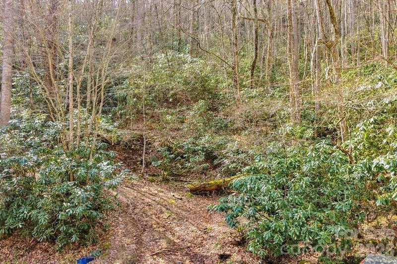 tbd Rominger Rd, Sugar Grove, NC 28679