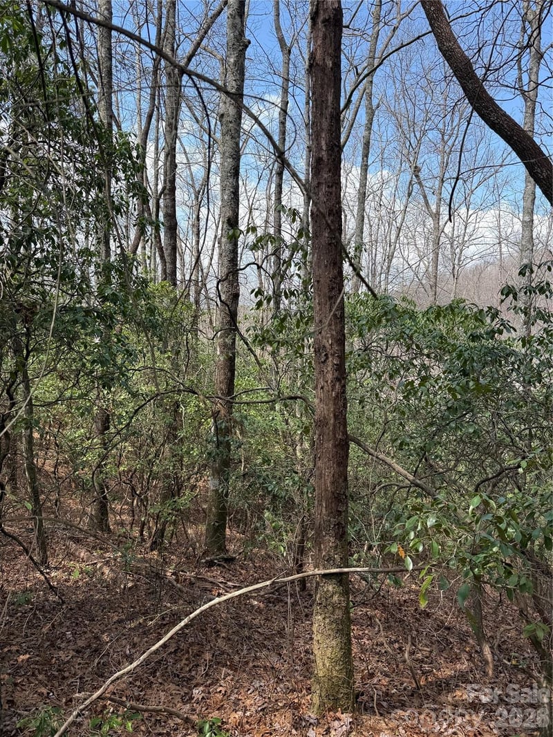 00 Line Runner Ridge Rd, Rosman, NC 28722