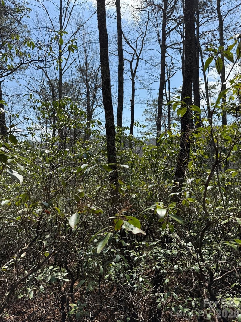 00 Line Runner Ridge Rd, Rosman, NC 28722