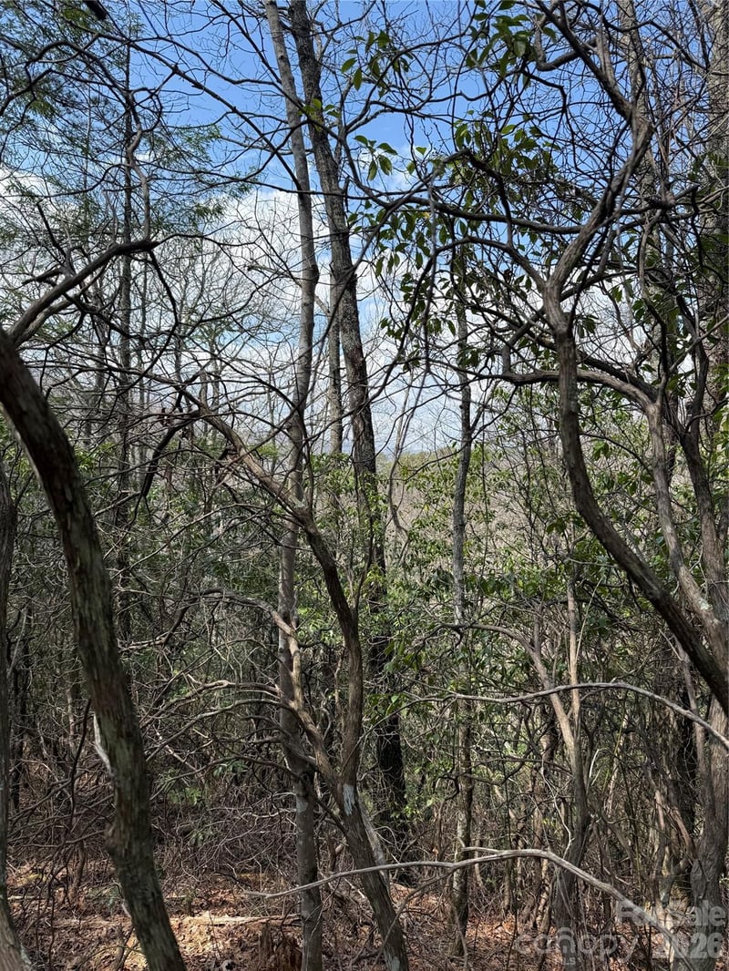 00 Line Runner Ridge Rd, Rosman, NC 28722