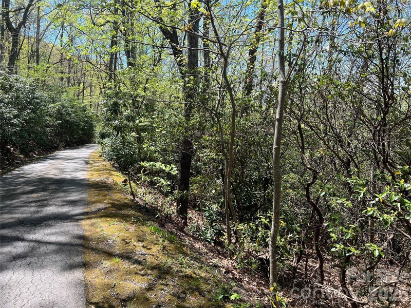 99999 Summer Haven Rd, Swannanoa, NC 28778