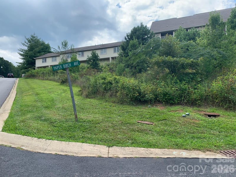 99999 Fallen Spruce Dr, Asheville, NC 28806