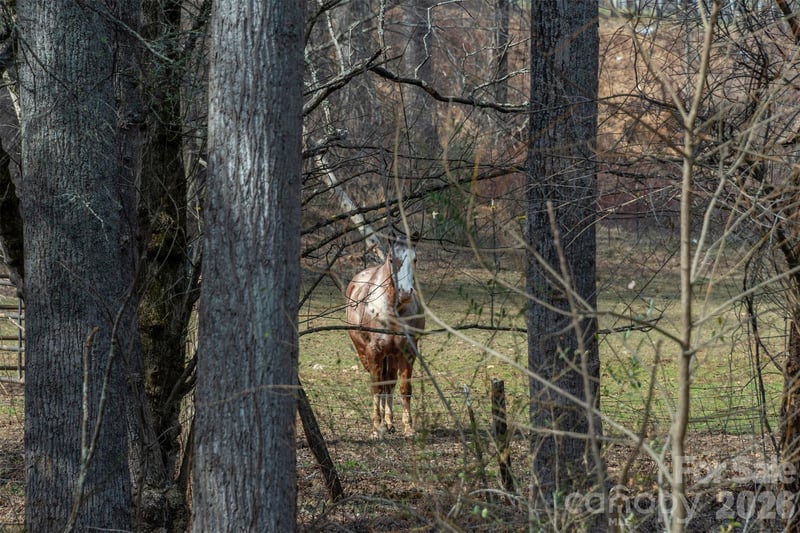 1720 Brevard Rd, Arden, NC 28704
