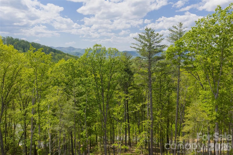 693 Tea House Dr #905, Asheville, NC 28803