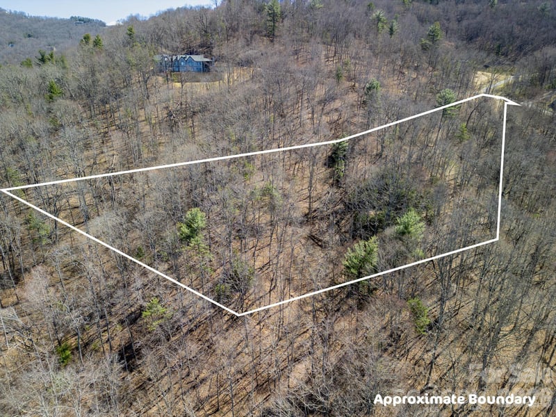 86 Bartrams Walk Dr #14, Asheville, NC 28804