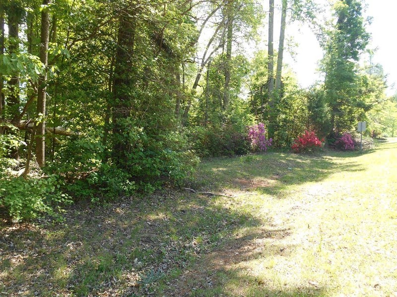 00 Tin Mine Rd #1, Lincolnton, NC 28092