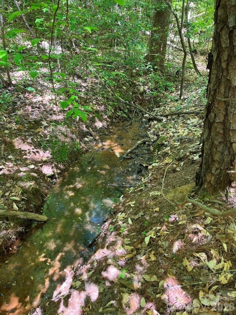 00 Tin Mine Rd #1, Lincolnton, NC 28092