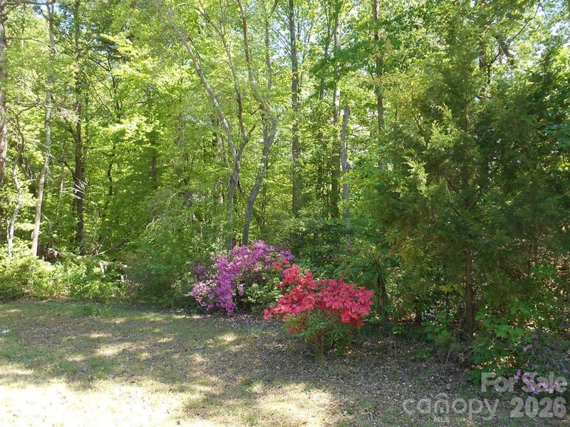 00 Tin Mine Rd #1, Lincolnton, NC 28092