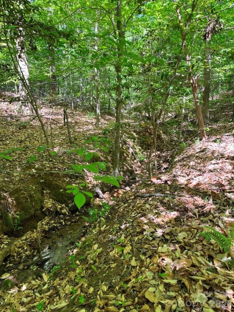 00 Tin Mine Rd #1, Lincolnton, NC 28092