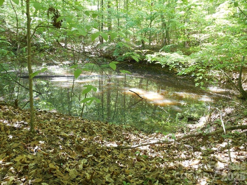 00 Tin Mine Rd #1, Lincolnton, NC 28092