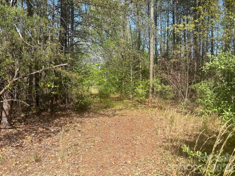 6374 Peniel Rd, Tryon, NC 28782