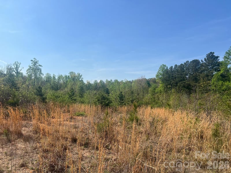 6374 Peniel Rd, Tryon, NC 28782