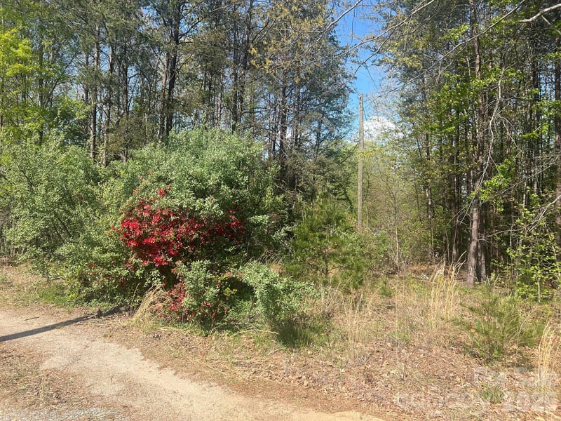 6374 Peniel Rd, Tryon, NC 28782